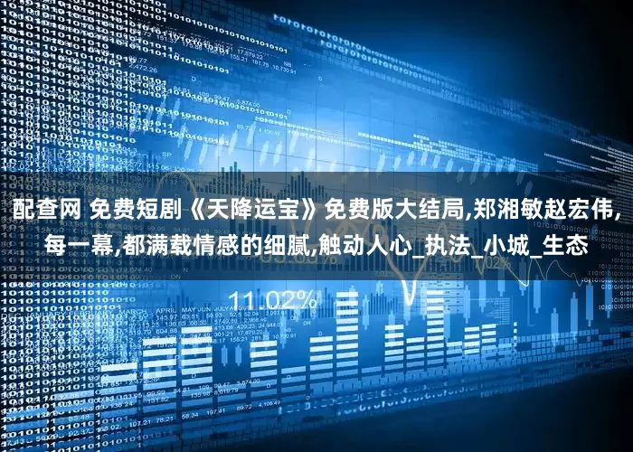 配查网 免费短剧《天降运宝》免费版大结局,郑湘敏赵宏伟,每一幕,都满载情感的细腻,触动人心_执法_小城_生态