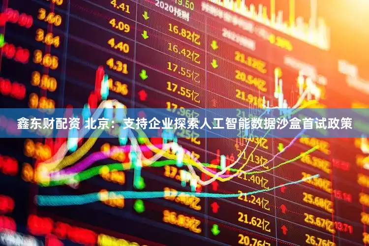 鑫东财配资 北京：支持企业探索人工智能数据沙盒首试政策
