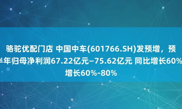 骆驼优配门店 中国中车(601766.SH)发预增，预计上半年归母净利润67.22亿元—75.62亿元 同比增长60%-80%